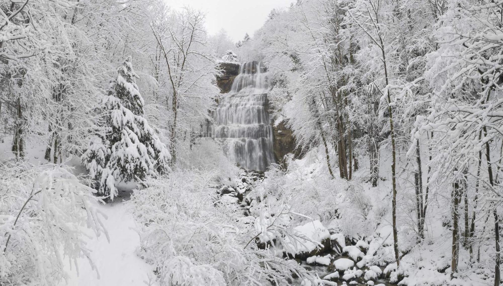 Le Chalain Cosy Proche Centre Ville Les Rousses Dış mekan fotoğraf