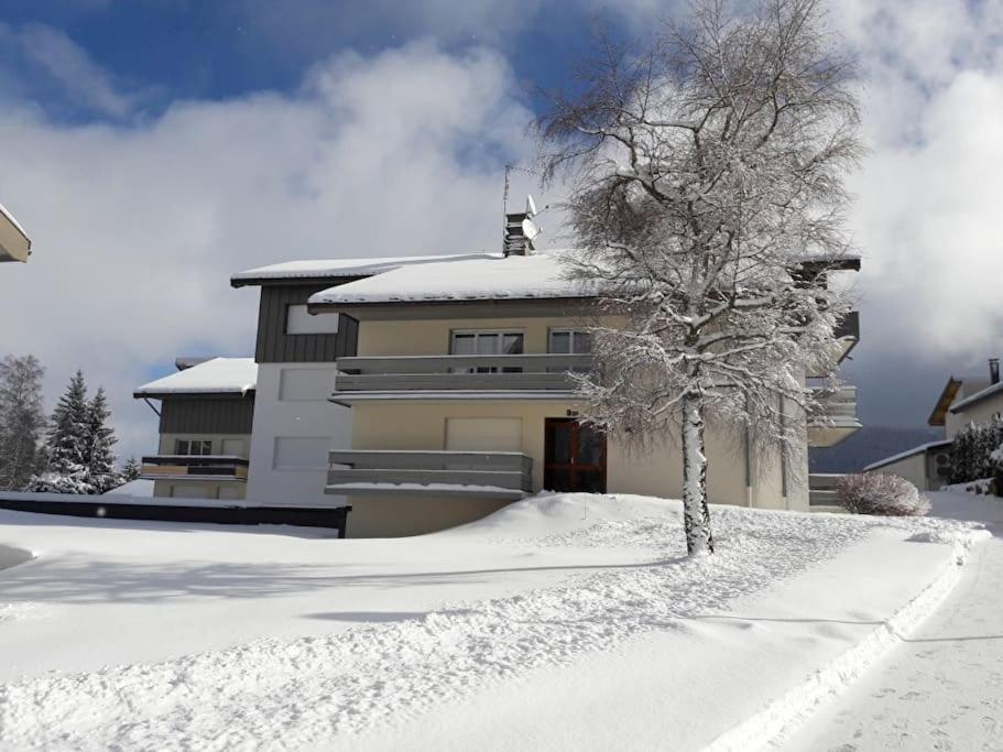 Le Chalain Cosy Proche Centre Ville Les Rousses Dış mekan fotoğraf